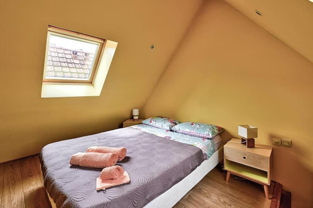 Maison De Ville Spacieuse Et Calme En Plein Coeur D'อาเมียงส์ ภายนอก รูปภาพ